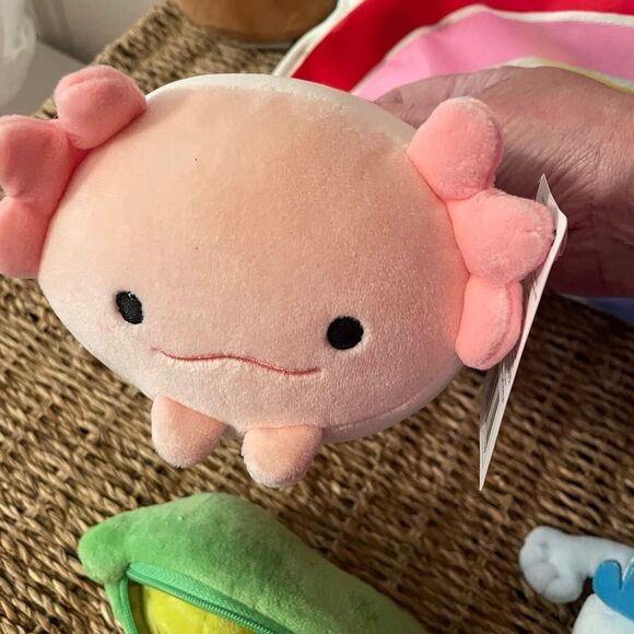 Rainbow Canvas Tote Bag AXOLOTL Plushies Squishmallow Hamburger Peas Set - Picture 3 of 16